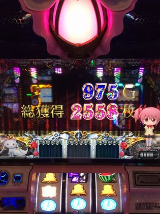 SuA[Ył314Ŗڂ̘Aŉ摜